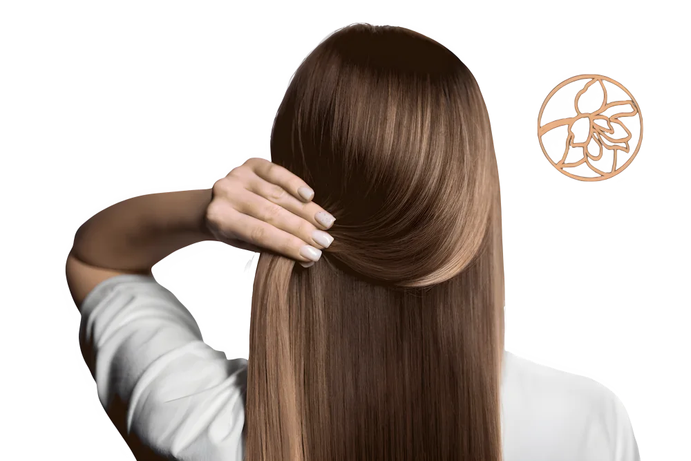 Shampoos moxe home